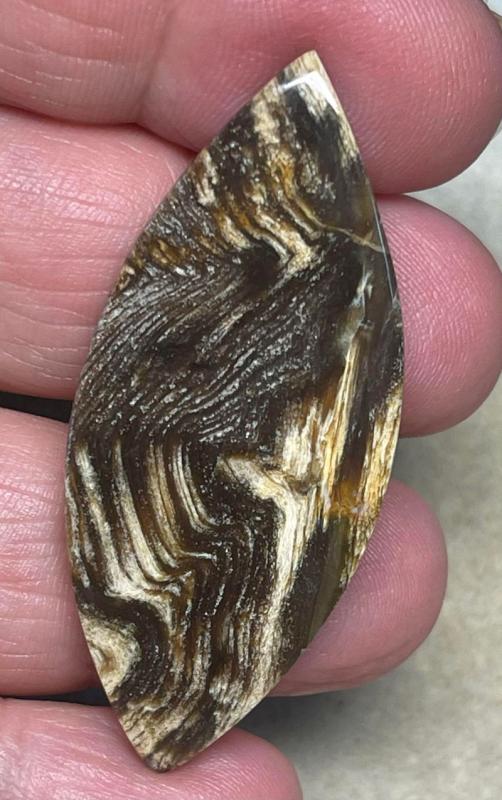 Marquise 49x21mm Indonesian Petrified Wood Cabochon 28