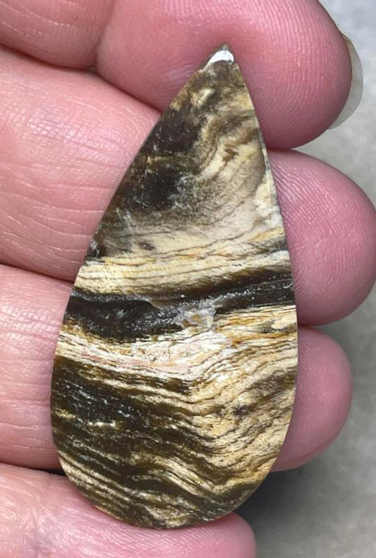 Teardrop 46x23mm Indonesian Petrified Wood Cabochon 30