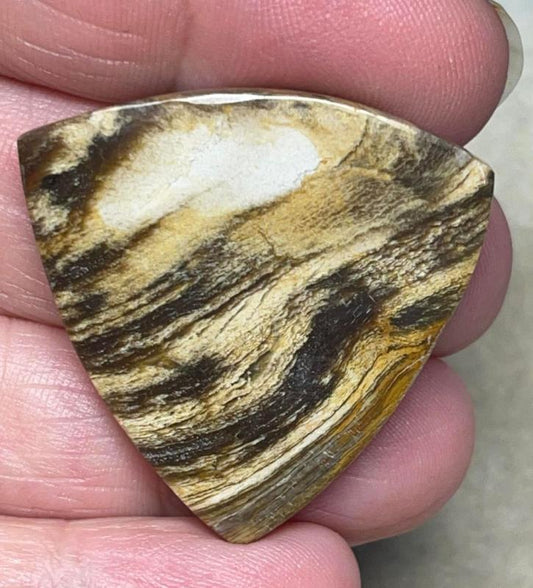 Freeform 34x34mm Indonesian Petrified Wood Cabochon 31
