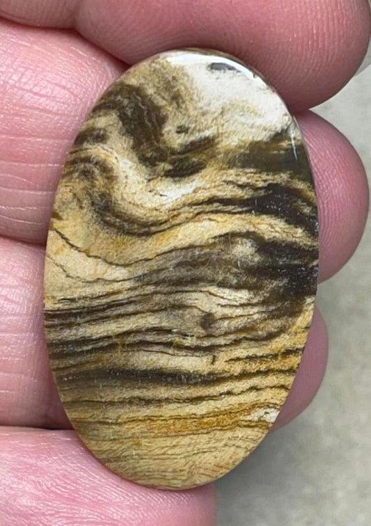 Oval 38x23mm Indonesian Petrified Wood Cabochon 33