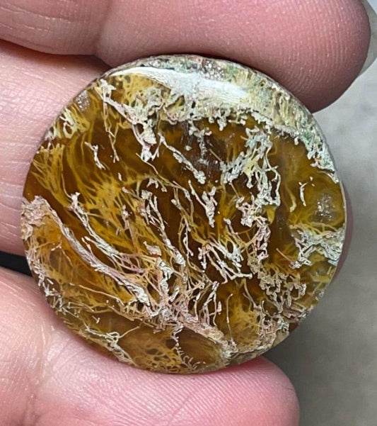 Round 29x29mm Natural Lichen Moss Agate Cabochon 04