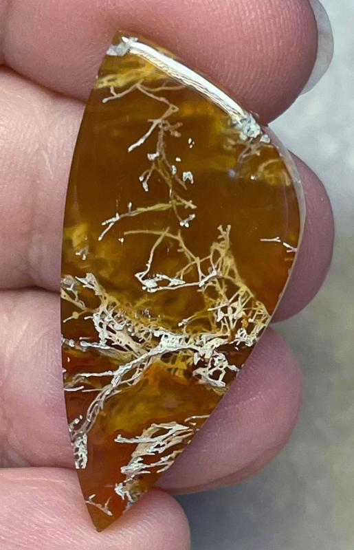 Freeform 39x18mm Natural Lichen Moss Agate Cabochon 06