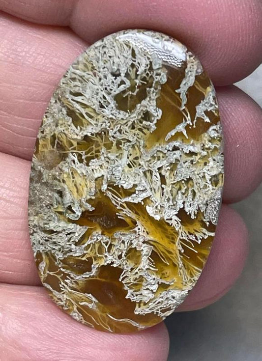 Oval 37x23mm Natural Lichen Moss Agate Cabochon 07