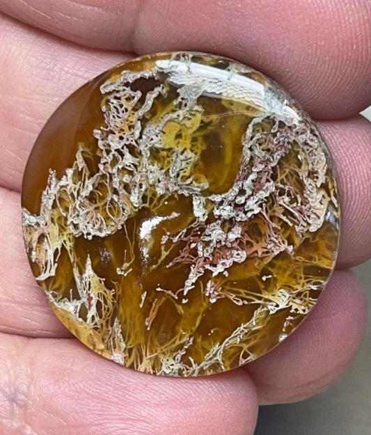 Round 30x30mm Natural Lichen Moss Agate Cabochon 14