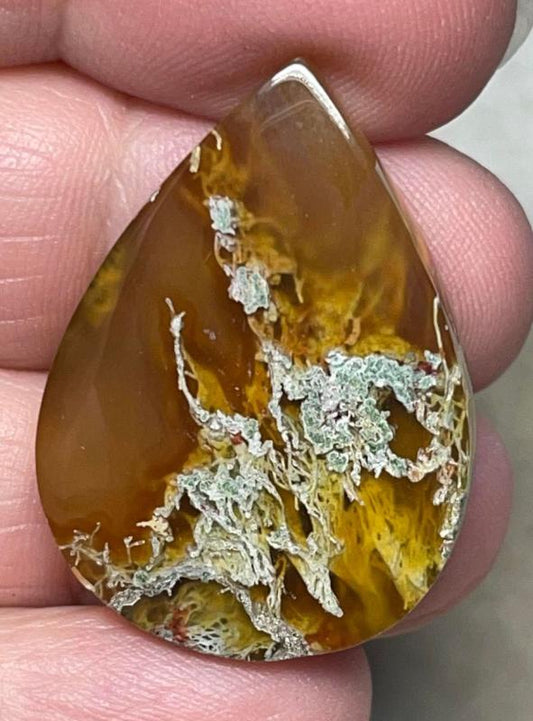 Teardrop 32x23mm Natural Lichen Moss Agate Cabochon 17