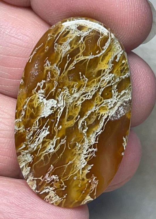 Oval 38x22mm Natural Lichen Moss Agate Cabochon 19