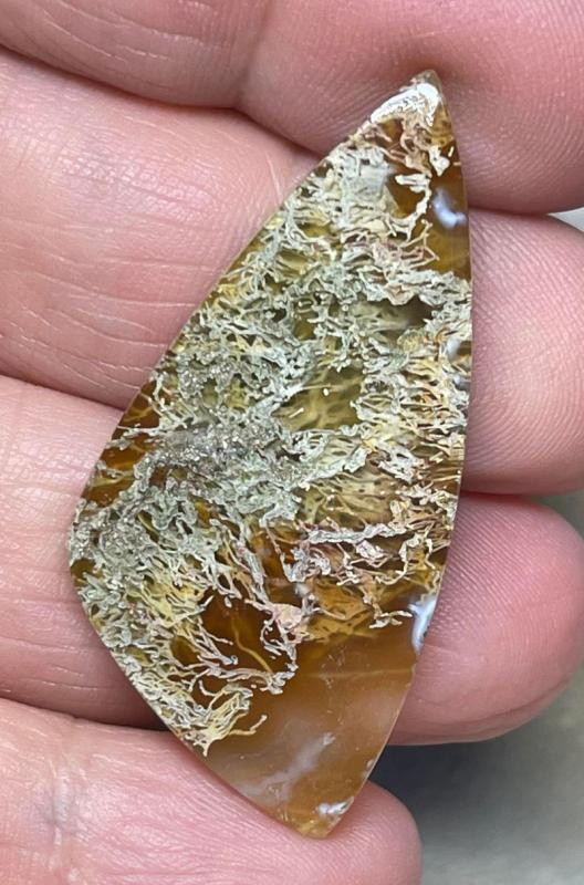 Freeform 44x21mm Natural Lichen Moss Agate Cabochon 20