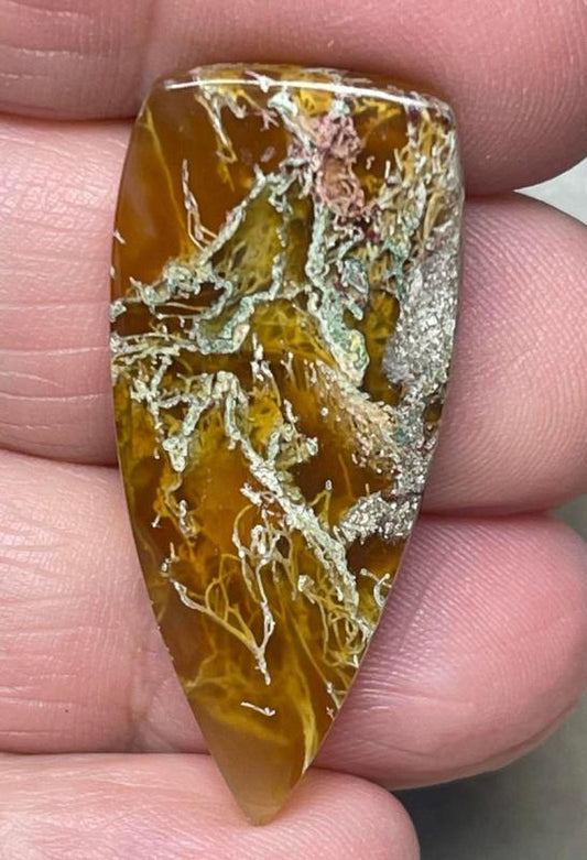 Freeform 37x16mm Natural Lichen Moss Agate Cabochon 21