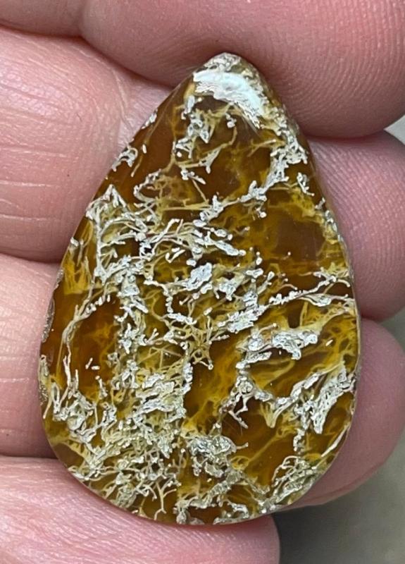 Teardrop 32x22mm Natural Lichen Moss Agate Cabochon 26