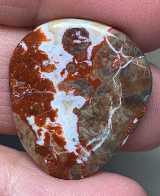 Teardrop 27x24mm Money Agate Cabochon 01