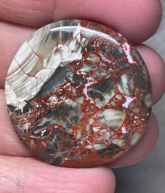 Round 34x34mm Money Agate Cabochon 04
