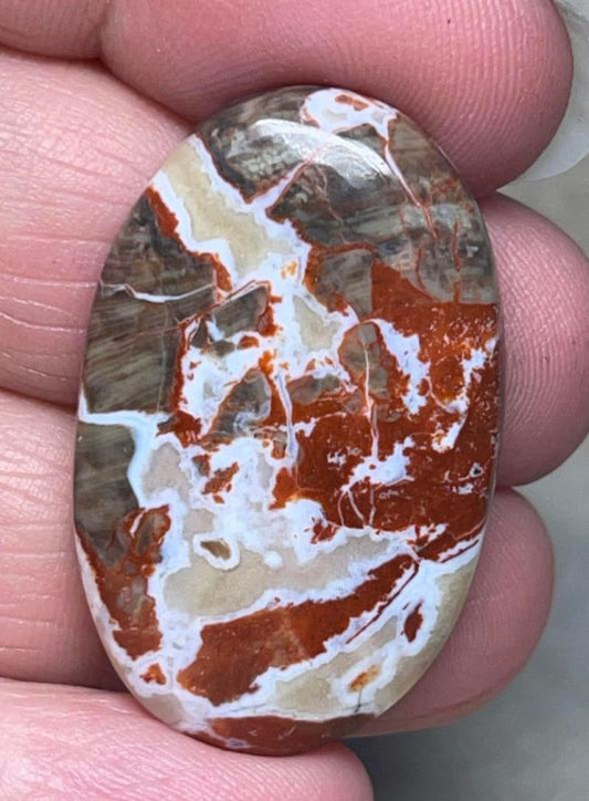 Oval 36x22mm Money Agate Cabochon 05