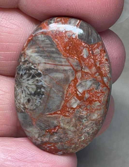 Oval 34x23mm Money Agate Cabochon 08