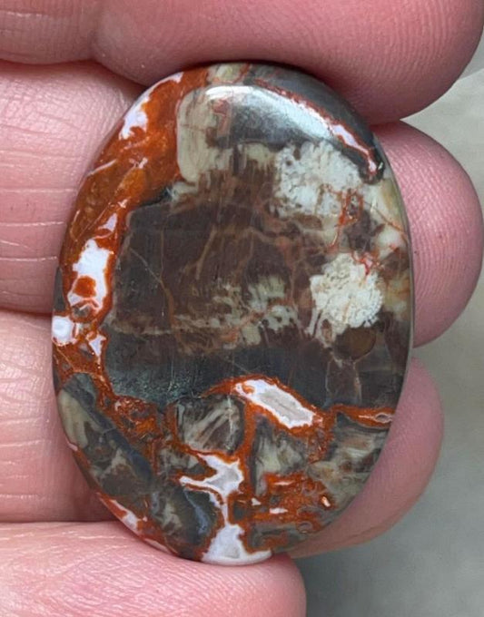 Oval 33x23mm Money Agate Cabochon 11