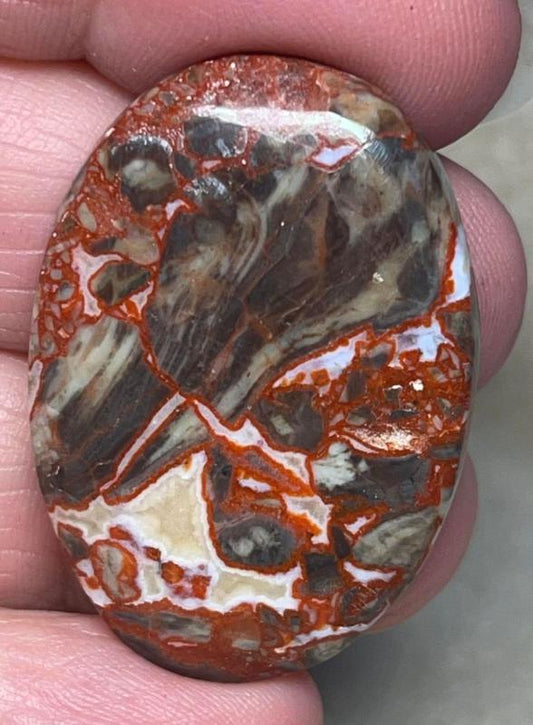Oval 37x26mm Money Agate Cabochon 12