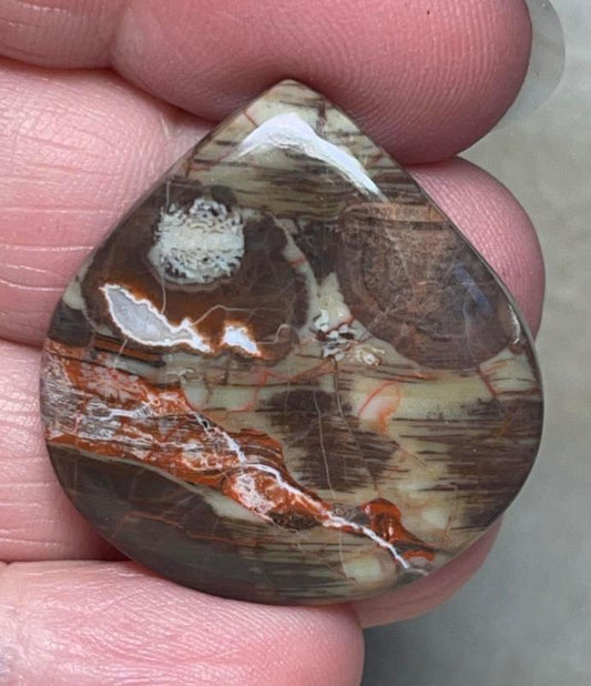 Teardrop 31x30mm Money Agate Cabochon 13