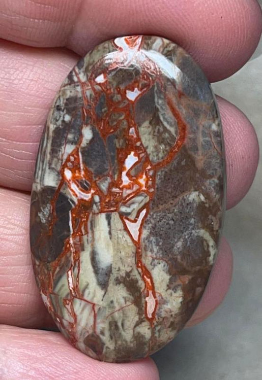 Oval 42x24mm Money Agate Cabochon 18