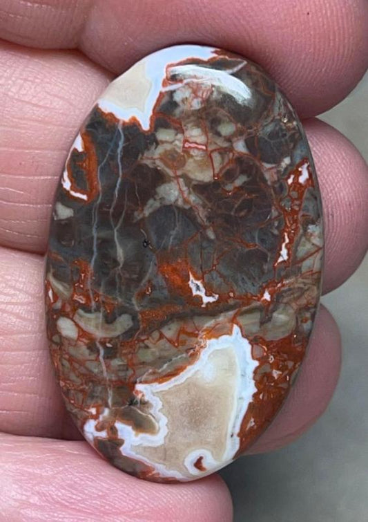 Oval 37x23mm Money Agate Cabochon 20