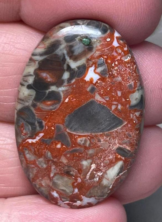Oval 34x22mm Money Agate Cabochon 21