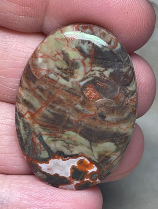 Oval 37x26mm Money Agate Cabochon 22