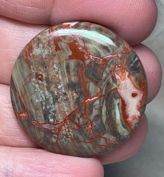 Round 32x32mm Money Agate Cabochon 23