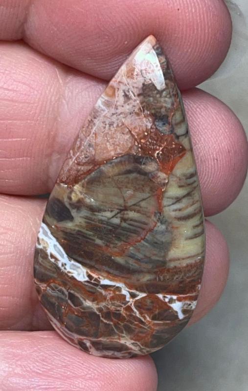 Teardrop 39x20mm Money Agate Cabochon 26