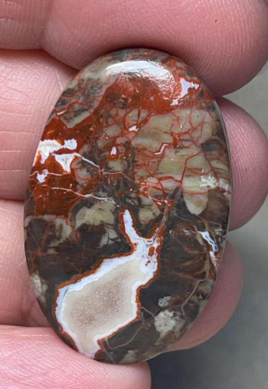 Oval 35x22mm Money Agate Cabochon 27