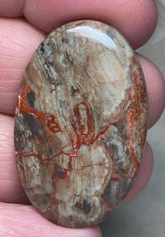 Oval 39x24mm Money Agate Cabochon 30