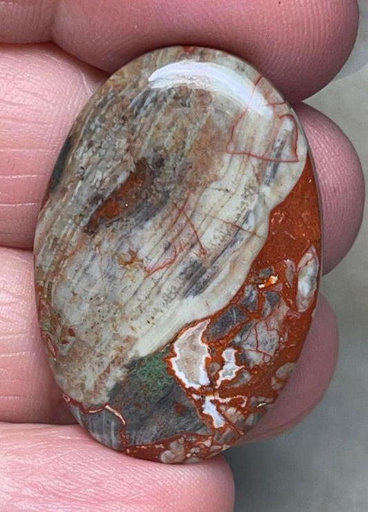Oval 34x23mm Money Agate Cabochon 32