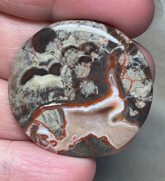 Round 35x35mm Money Agate Cabochon 33