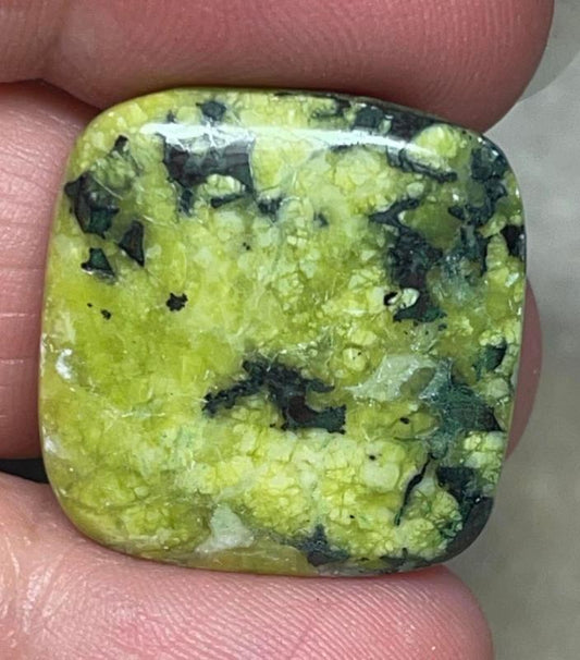 Square 23x23mm Lizardite Cabochon 11