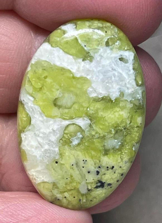 Oval 33x21mm Lizardite Cabochon 14