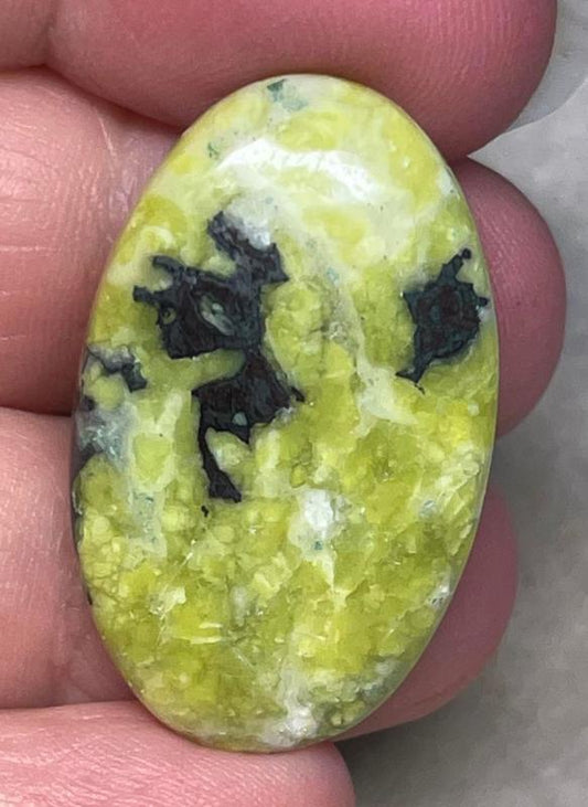 Oval 34x21mm Lizardite Cabochon 16