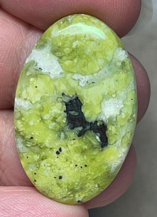 Oval 33x21mm Lizardite Cabochon 17