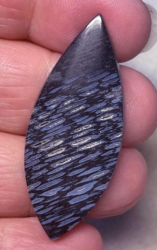 Freeform 45x19mm Pocket Root Cabochon 06