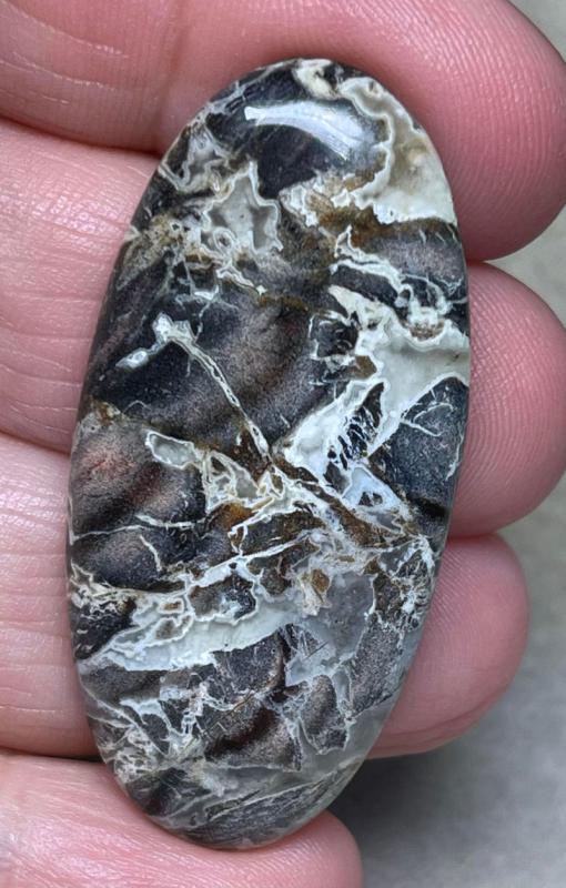 Oval 45x21mm Snake Jasper Cabochon 21