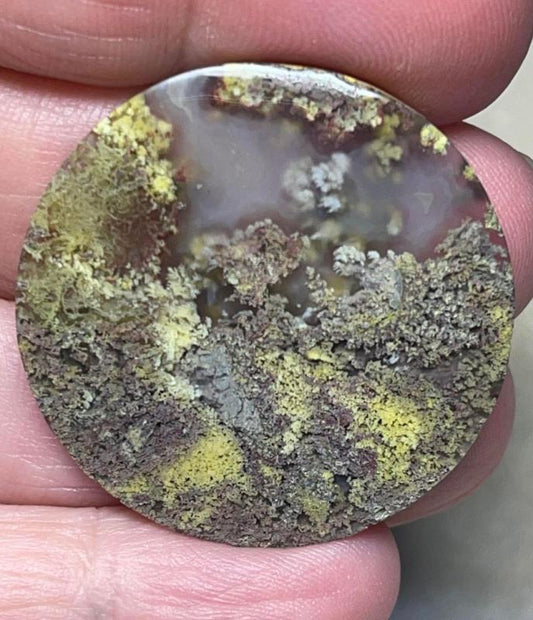 Round 34x34mm Indonesian Moss Agate Cabochon 75
