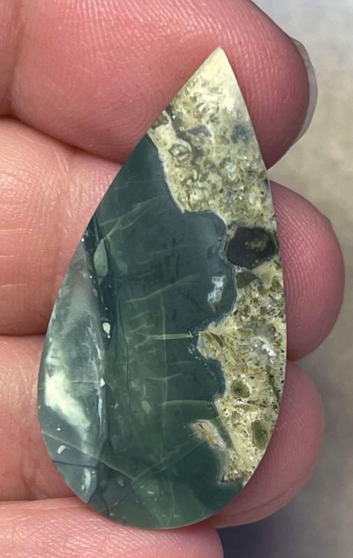 Teardrop 39x19mm Indonesian Petrified Wood Cabochon 38