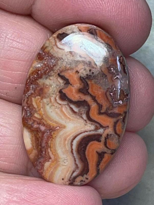 Oval 33x21mm Dryhead Agate Cabochon 09