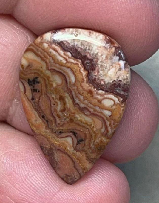 Teardrop 25x17mm Dryhead Agate Cabochon 12
