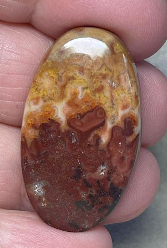 Oval 36x21mm Dryhead Agate Cabochon 20