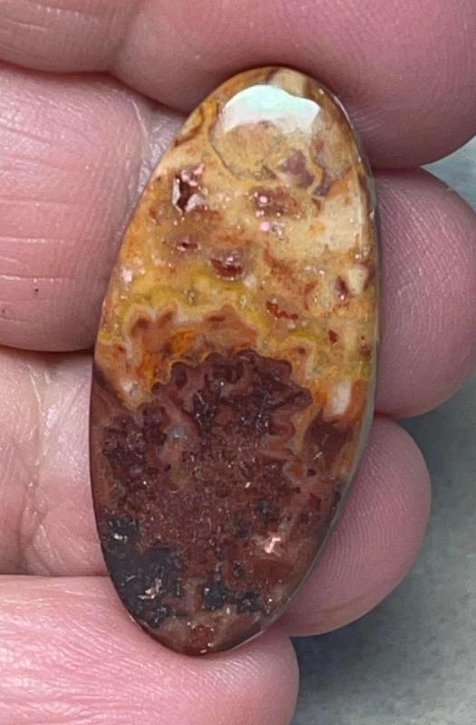 Oval 35x16mm Dryhead Agate Cabochon 21