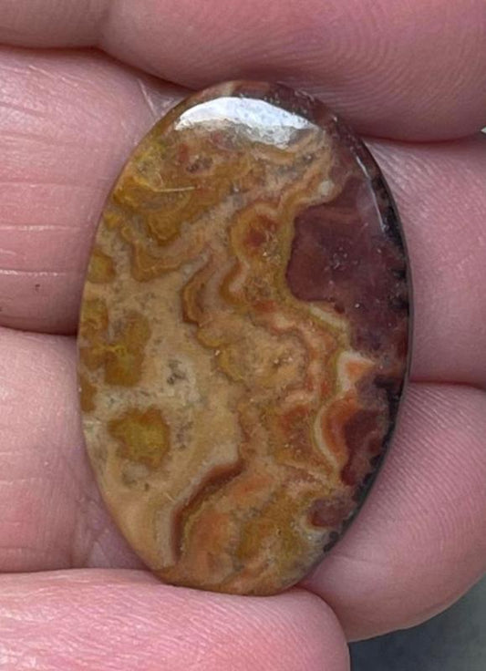 Oval 27x17mm Dryhead Agate Cabochon 23