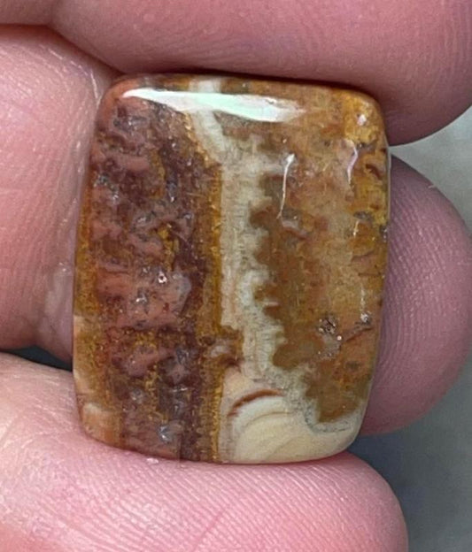 Rectangle 21x17mm Dryhead Agate Cabochon 27