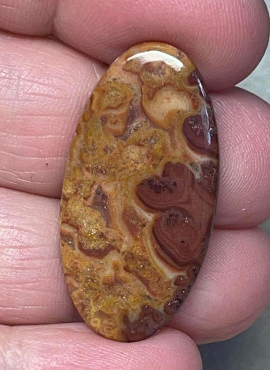 Oval 34x17mm Dryhead Agate Cabochon 28