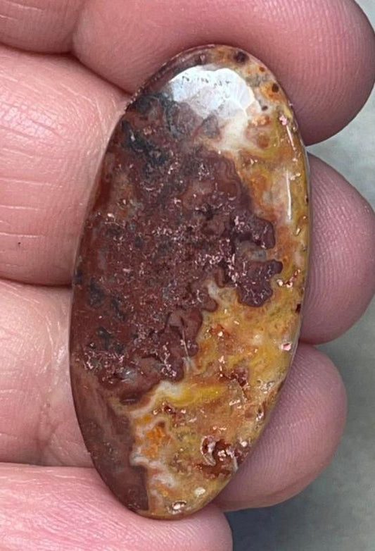 Oval 38x18mm Dryhead Agate Cabochon 33