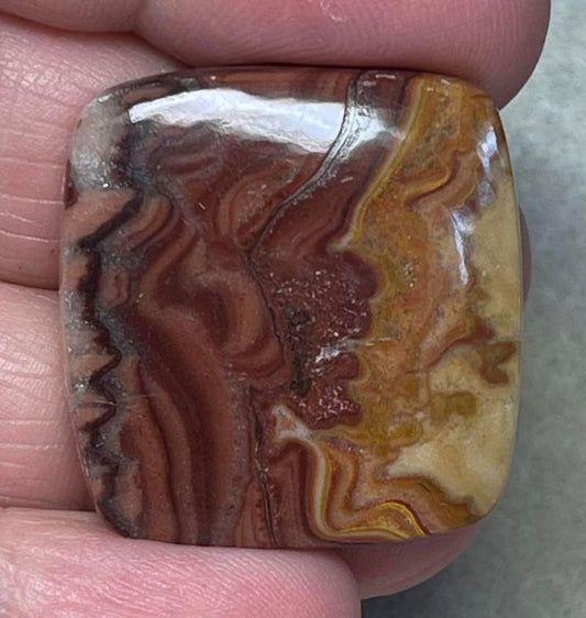 Rectangle 29x28mm Dryhead Agate Cabochon 36
