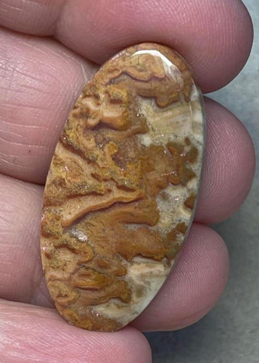 Oval 37x19mm Dryhead Agate Cabochon 37