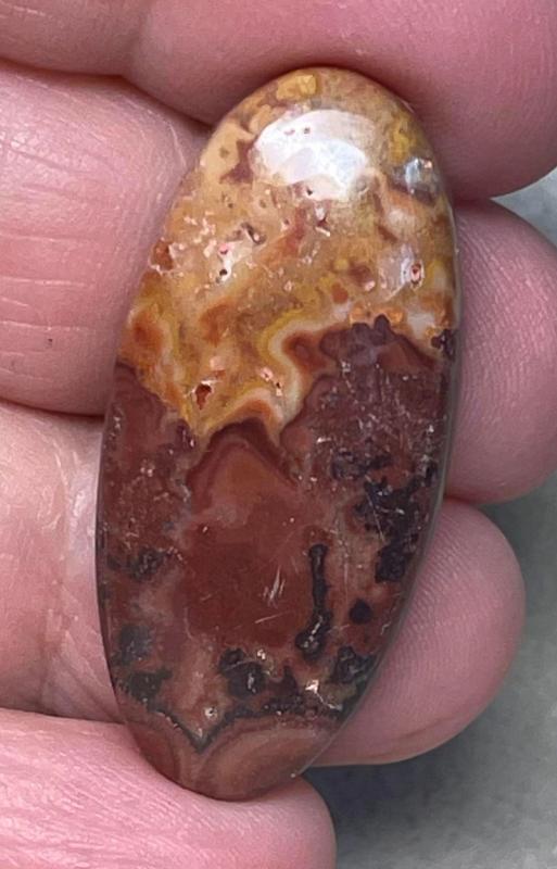 Oval 38x17mm Dryhead Agate Cabochon 41