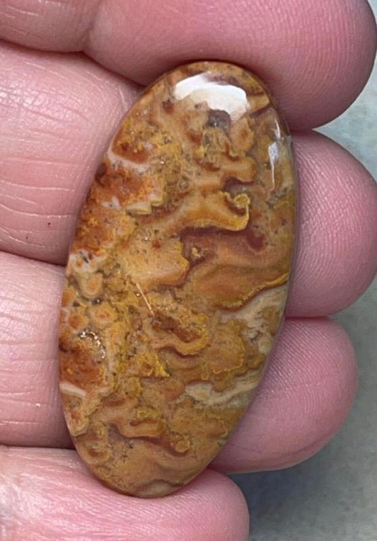 Oval 38x19mm Dryhead Agate Cabochon 42